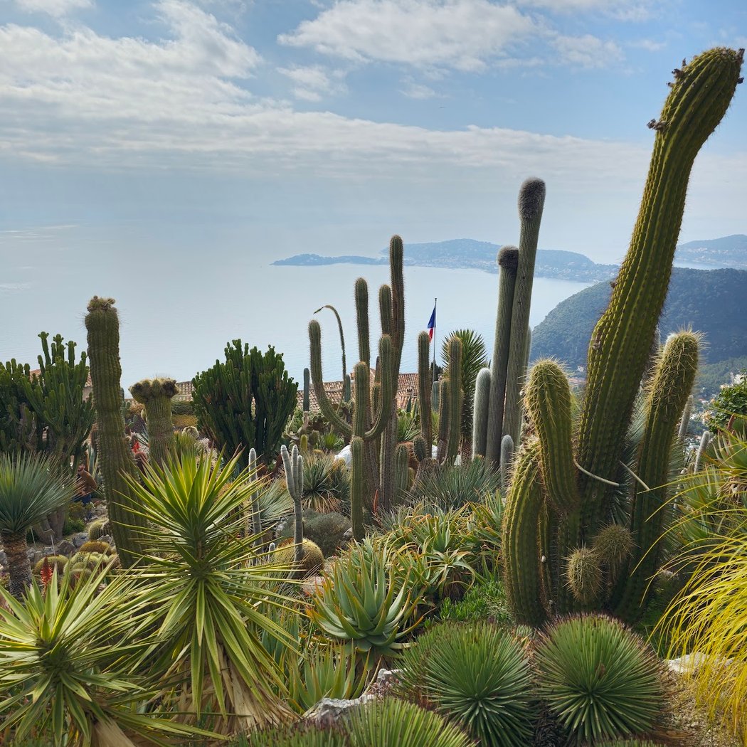 Jardin Exotique d’Èze 3